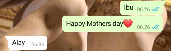 9 Chat lucu 'selamat hari ibu' ini endingnya bikin senyum tipis