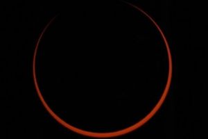Siaran langsung gerhana matahari cincin, ini cara nontonnya