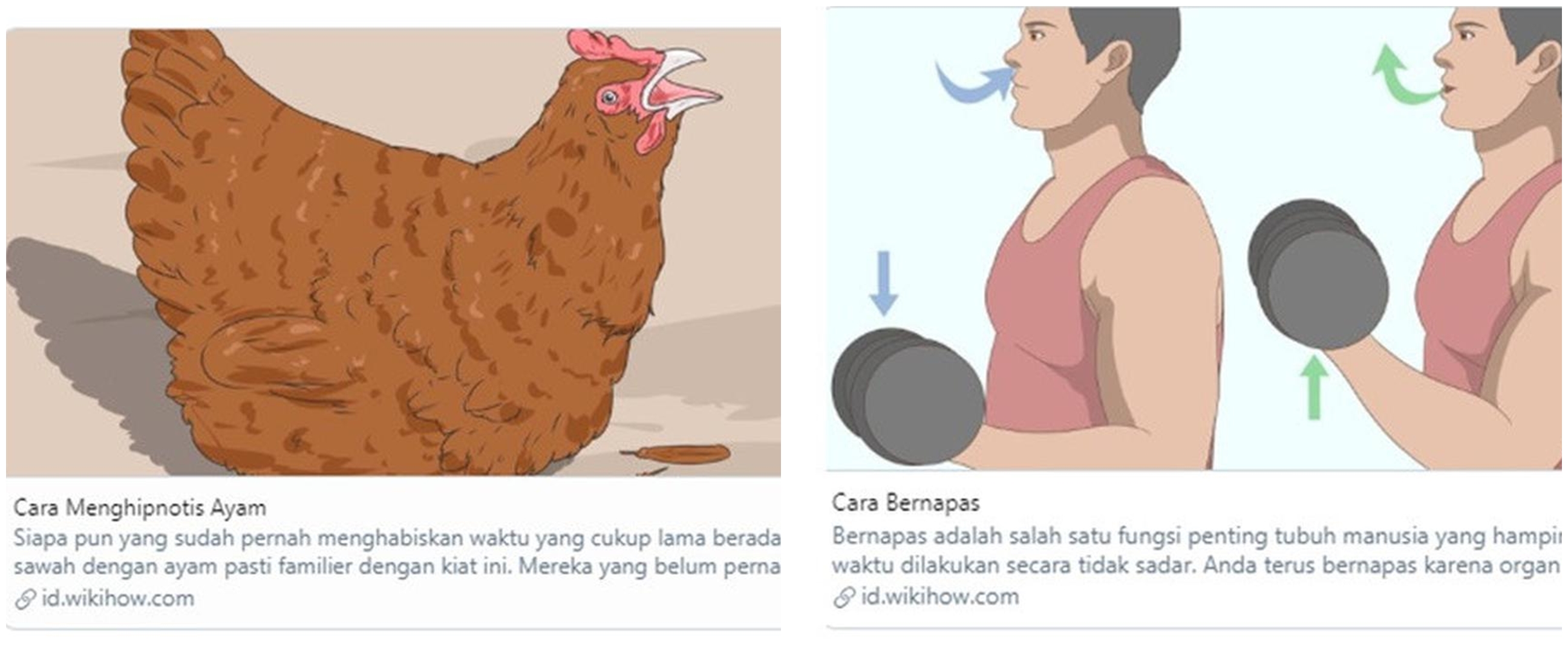6 Tutorial nyeleneh Wikihow, isinya bikin geleng-geleng kepala