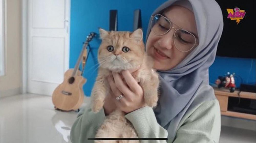 Ammar Zoni dan Irish Bella beli kucing  dari Rusia seharga motor