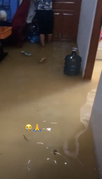 Terkena banjir, ini 8 potret kondisi rumah Evi Masamba