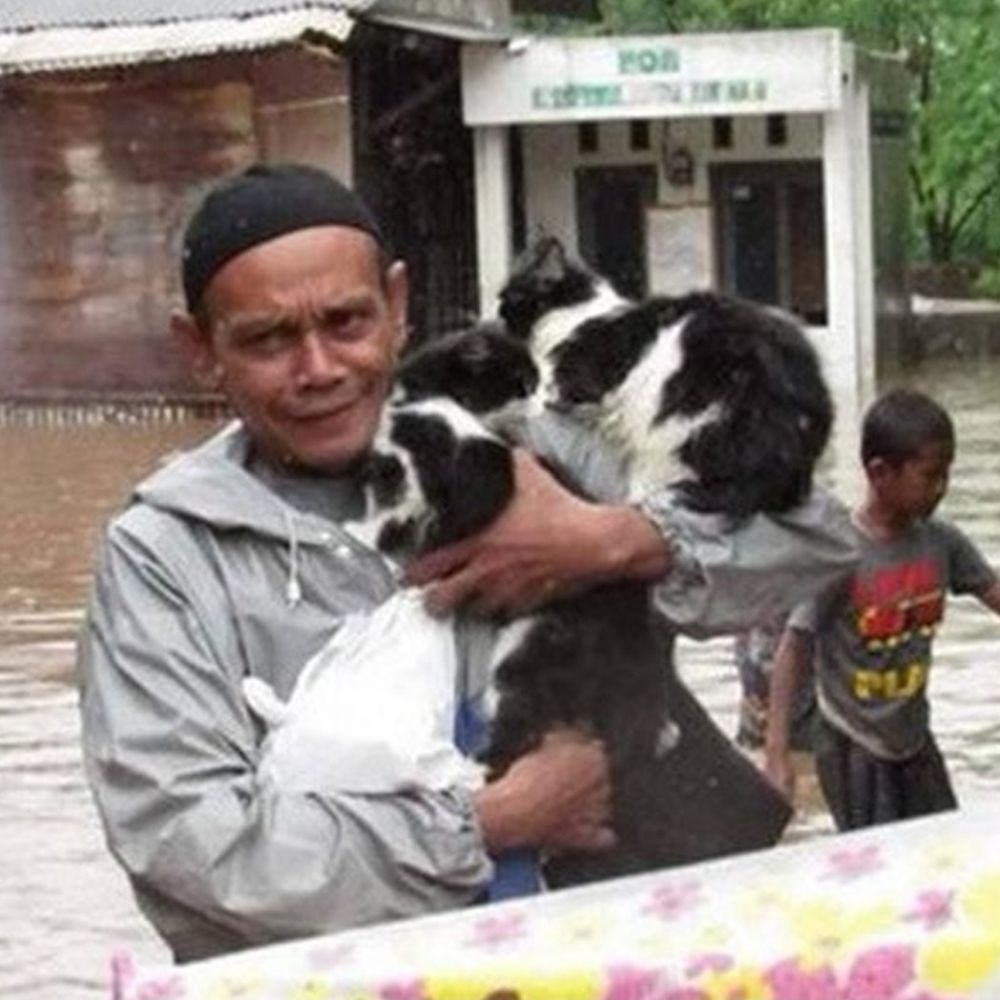 8 Potret evakuasi kucing & anjing saat banjir ini bikin haru