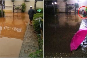 Kisah haru bapak cari ikan kesayangan, hanyut karena banjir