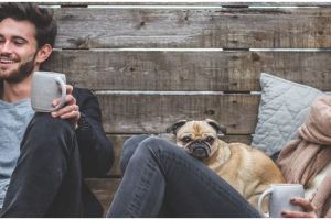 70 Kata-kata cinta lucu terbaru, penuh humor & gokil abis