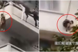 Keluarga ini manfaatkan anak 7 tahun untuk selamatkan kucing