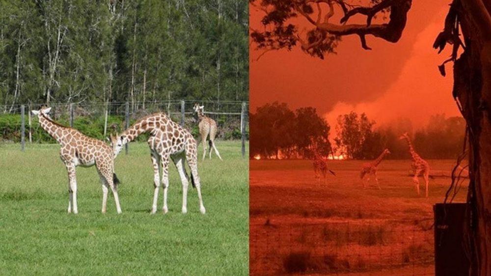 6 Penampakan sebelum & sesudah kebakaran di Australia, miris