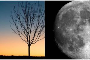 5 Fakta gerhana bulan penumbra yang akan terjadi nanti malam