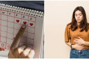 9 Aplikasi (apps) Android melacak siklus menstruasi