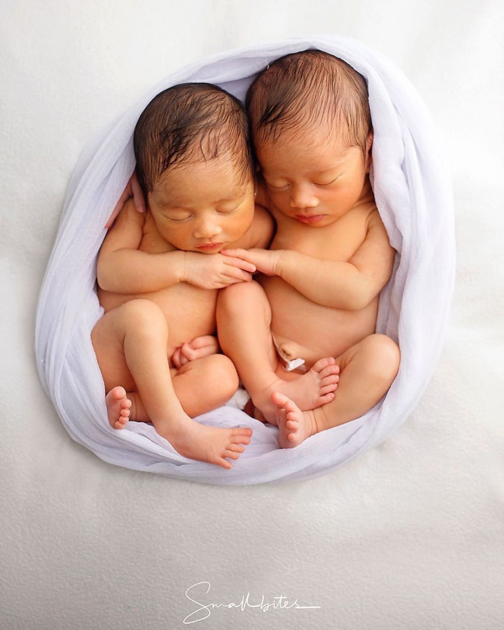 8 Pemotretan newborn anak kembar Syahnaz, super gemesin
