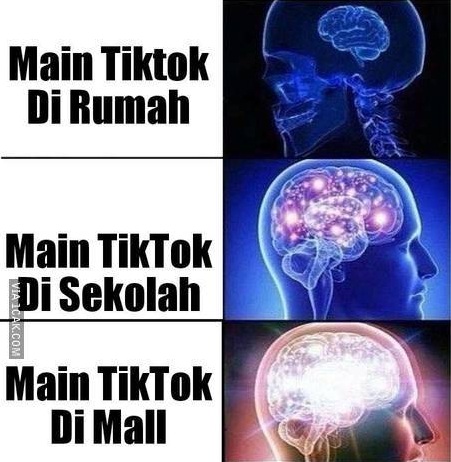 10 Gambar lucu main TikTok ini bikin senyum tepuk jidat
