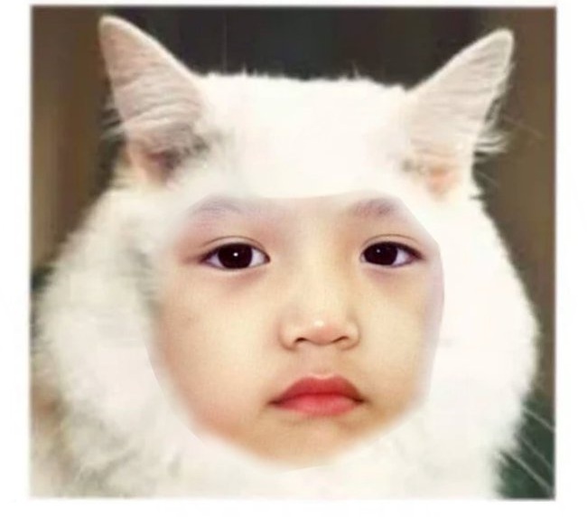 10 Editan lucu wajah kucing ini bikin orang nggak jadi gemas