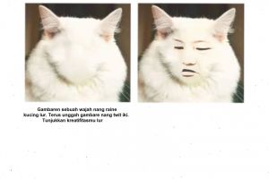 10 Editan lucu wajah kucing ini bikin orang nggak jadi gemas