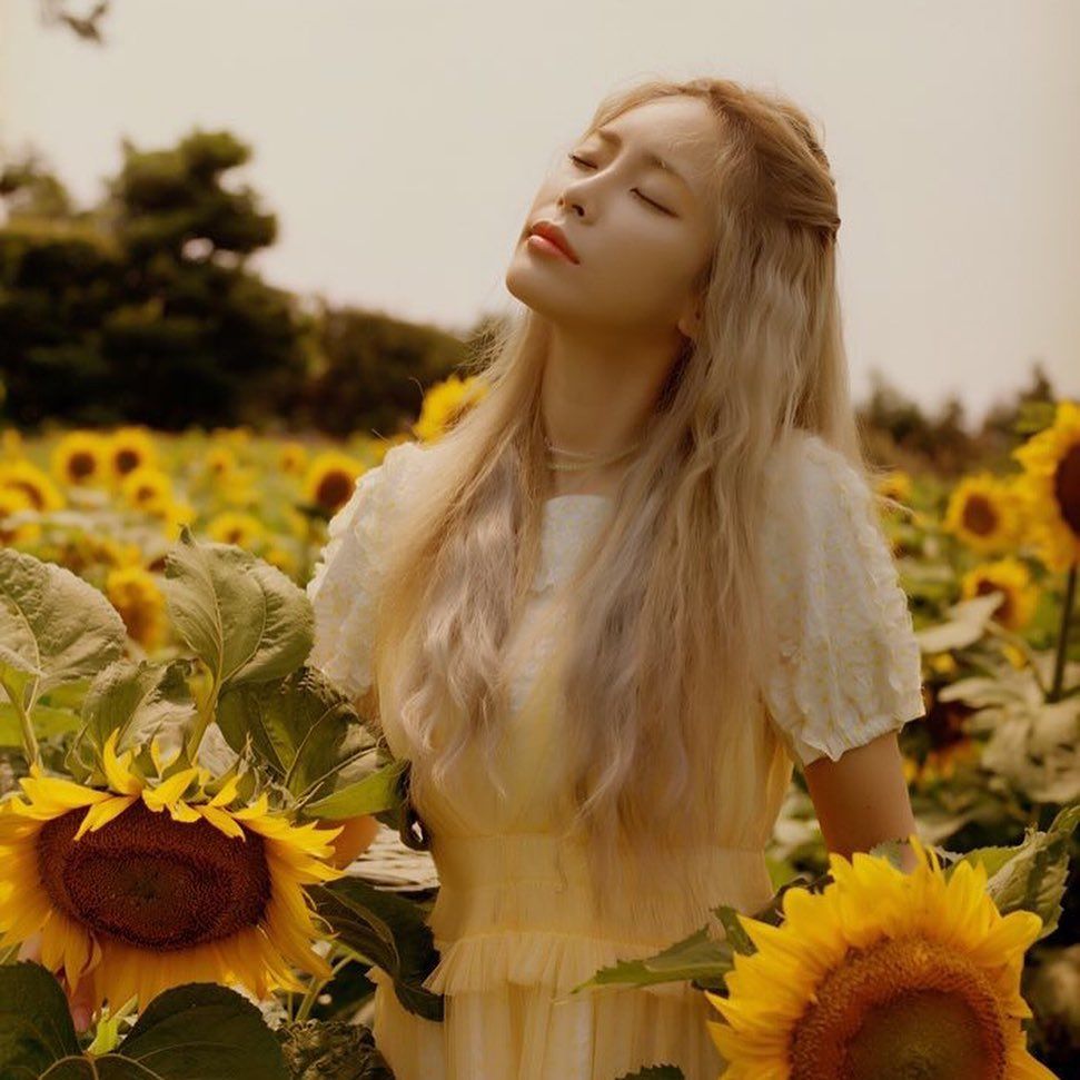 13 Idol K-Pop ini akan sapa penggemar di Indonesia tahun 2020