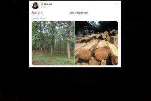 9 Cocoklogi lucu nama benda di sekitar, bikin geleng-geleng