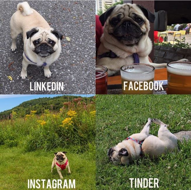 10 Meme beda foto LinkedIn, Facebook, Instagram, & Tinder