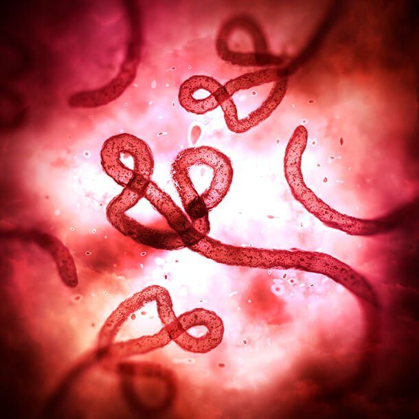 7 Virus menggemparkan dunia, terbaru Coronavirus