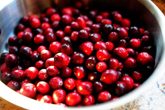 10 Jenis berry  dan manfaatnya baik untuk menurunkan berat 