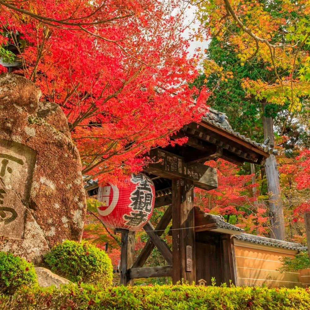 Destinasi wisata terbaik musim gugur di Jepang