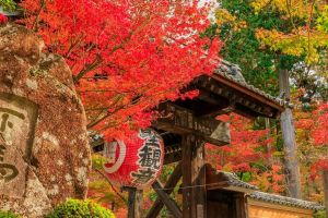 Destinasi wisata terbaik musim gugur di Jepang