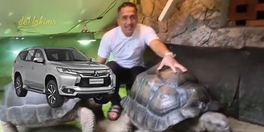 Penampakan kura-kura milik Irfan Hakim, harganya setara mobil