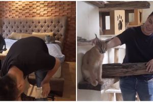 8 Potret kamar hewan peliharaan Baim Wong, mewah banget