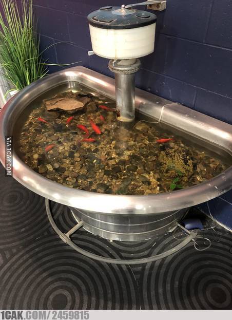 10 Kreasi nyeleneh wastafel ini bikin geleng kepala