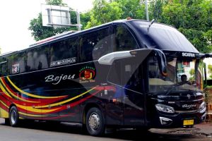 4 Hal yang harus diperhatikan saat memesan bus ini untuk travel 
