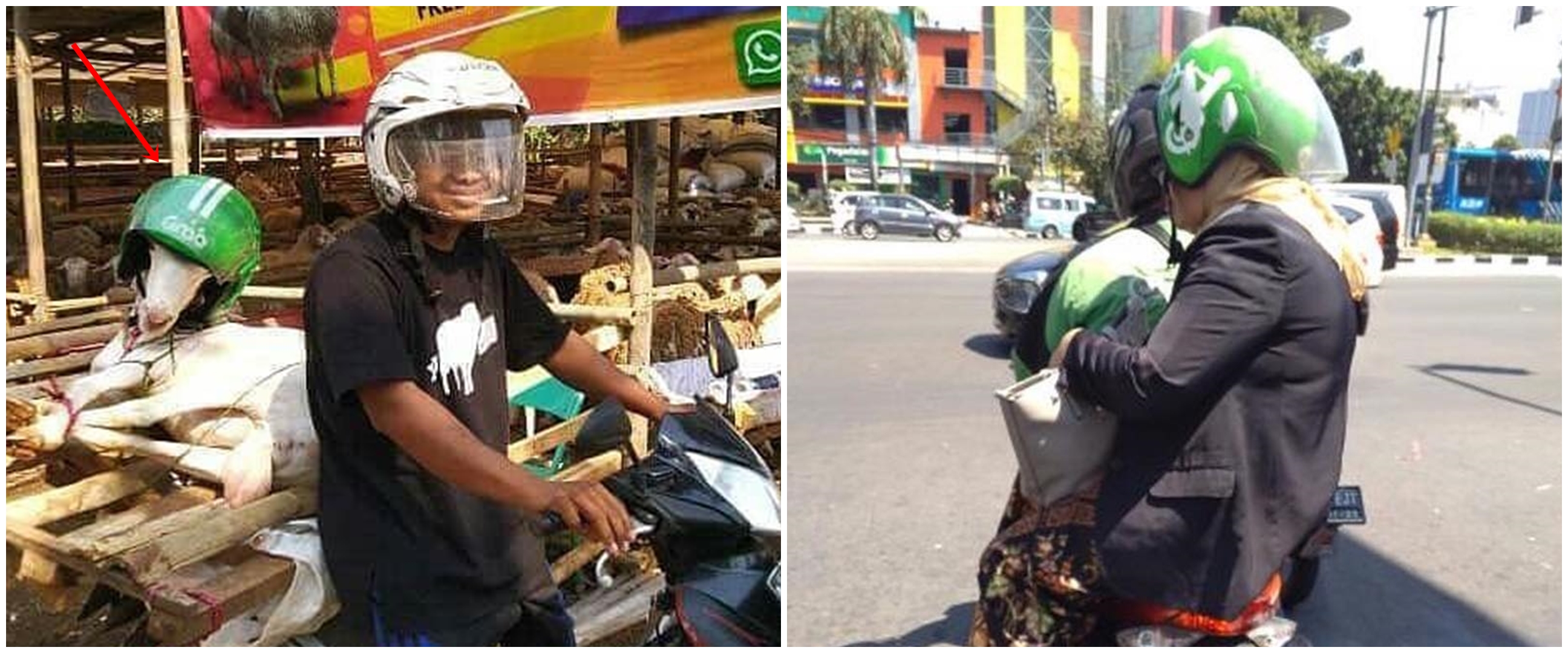 10 Cara nyeleneh pakai helm ojek online, bikin ketawa