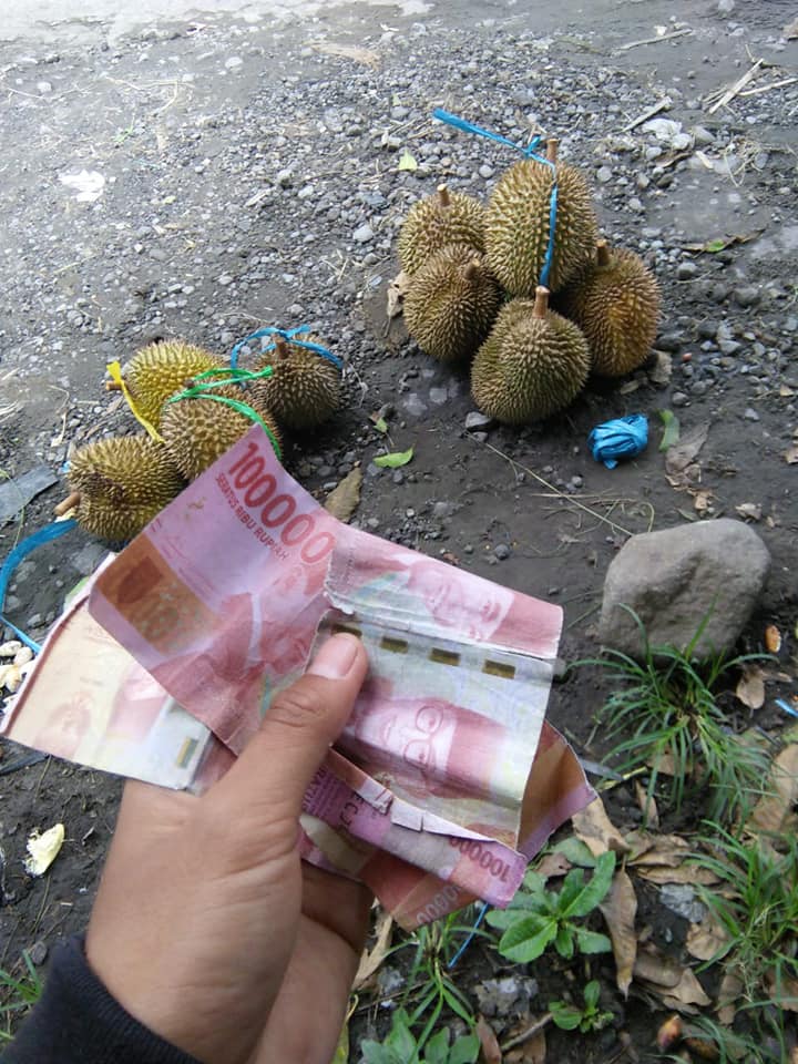 Kisah pilu penjual durian dibayar uang palsu senilai Rp 300 ribu