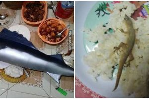 10 Lauk makan nasi ini nyelenehnya bikin lapar auto hilang