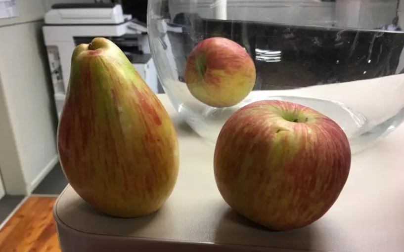 9 Potret buah dengan bentuk tak lazim Berbagai sumber