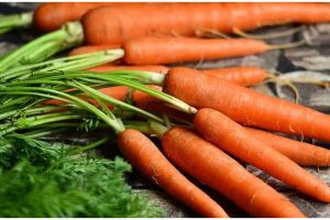 Cegah virus Corona, ini 7 nutrisi penambah imun tubuh dari ahli gizi