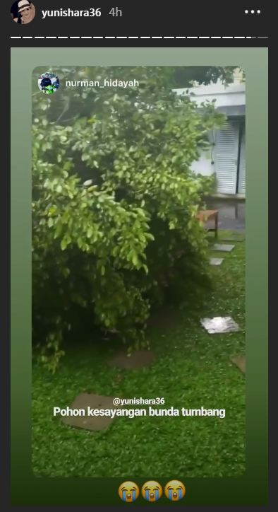 Kondisi 7 seleb usai Jakarta hujan deras, ada yang mengungsi