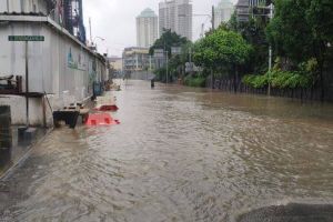 Anak sering main air saat banjir, waspada penyakit leptospirosis