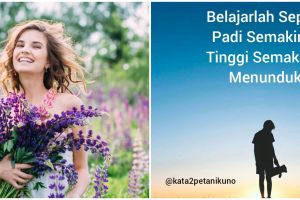 101 Kata-kata penyemangat diri sendiri, terbaik dan keren