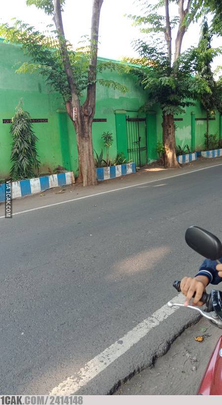 10 Kreasi nyeleneh pagar rumah ini bikin pengen ketawa