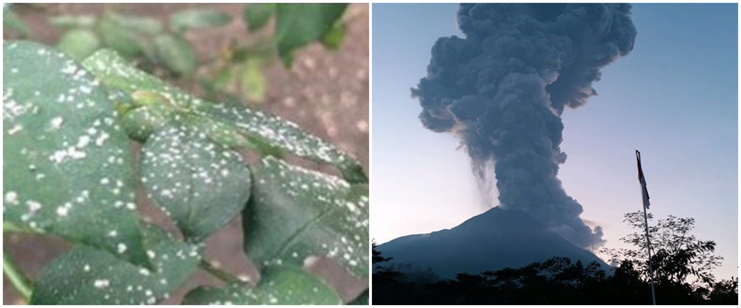 Gunung Merapi erupsi, hujan abu sampai ke Solo dan sekitarnya