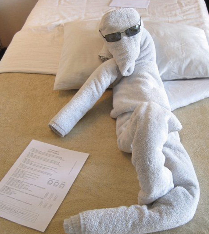 Potret 10 lipatan handuk hotel ini lucu & menggemaskan