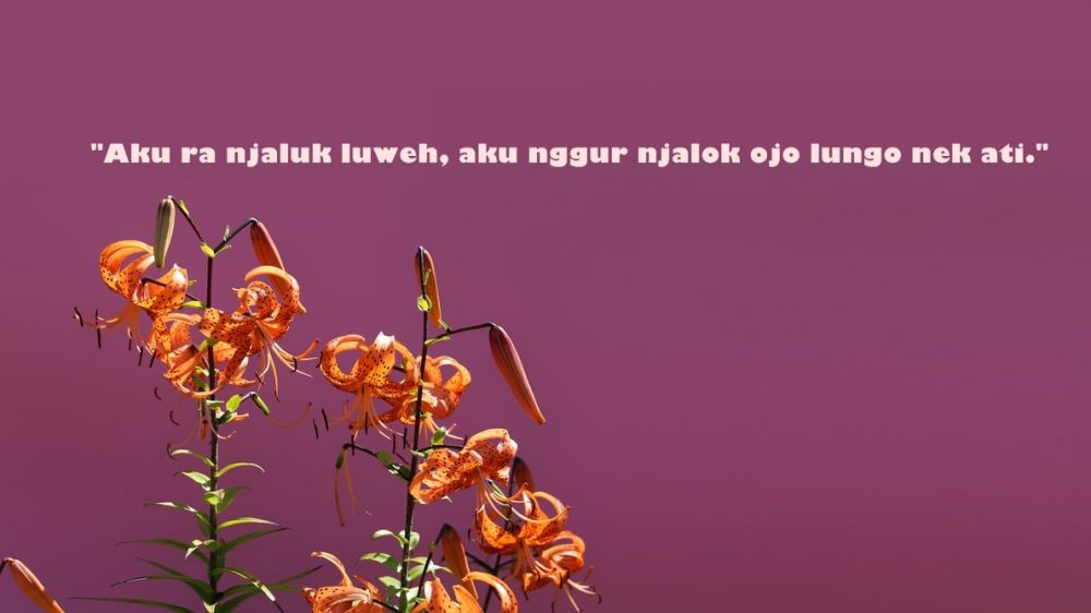Kata-kata jawa ambyar