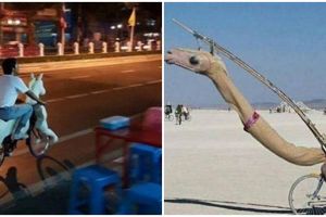 10 Momen absurd saat bersepeda ini bikin mikir keras