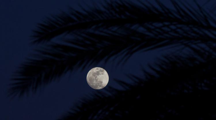 4 Fakta bulan purnama 'Worm Moon', fenomena langit hari ini