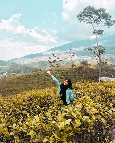 Selain Ranu Manduro, ini 10 destinasi panorama alam terbaik