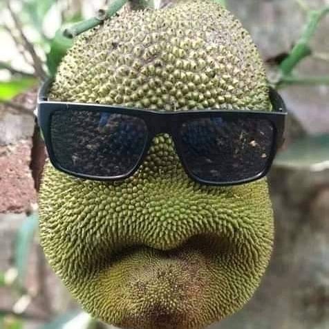 Penampakan 10 benda mirip wajah ini bikin lihat dua kali