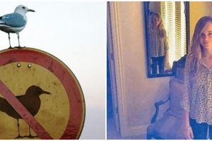 10 Momen pas ini bikin mikir dua kali, gambarnya menipu mata