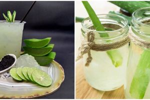 7 Resep minuman dari lidah buaya, segar dan bikin nagih