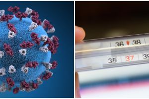 Pahami bagaimana cara penyebaran virus Corona agar tidak tertular