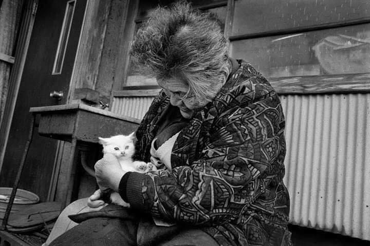 Mengenang 15 potret haru kebersamaan nenek dengan seekor kucing