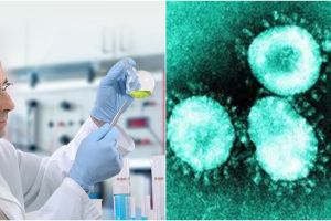 China sebut obat Avigan dari Jepang efektif atasi Corona