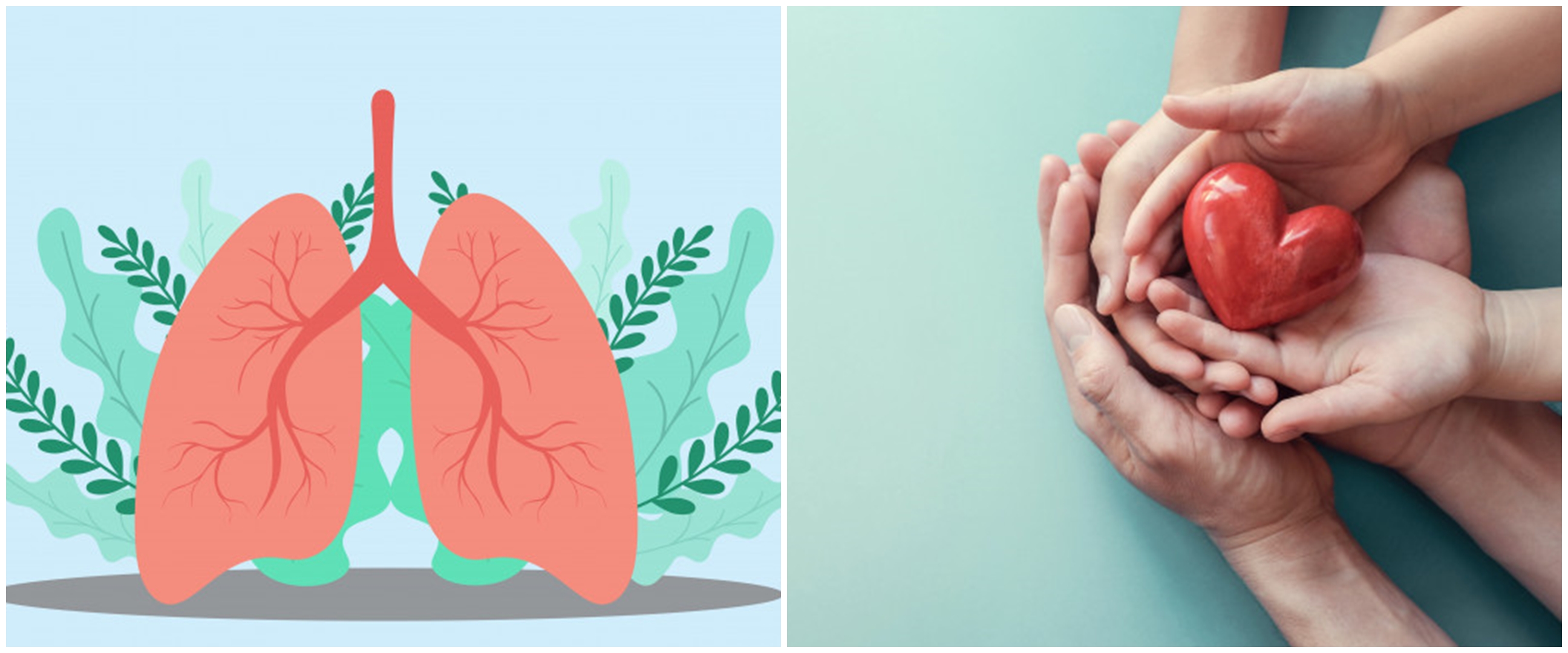 5 Cara menjaga paru-paru tetap sehat, sederhana dan efektif