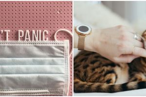 Kamu pelihara hewan? Pelajari 5 fakta ini selama wabah Corona